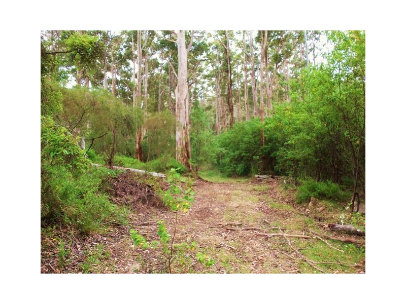 Lot 1 Millinup Pass Road, Porongurup WA 6324