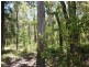 Lot 1 Millinup Pass Road, Porongurup WA 6324