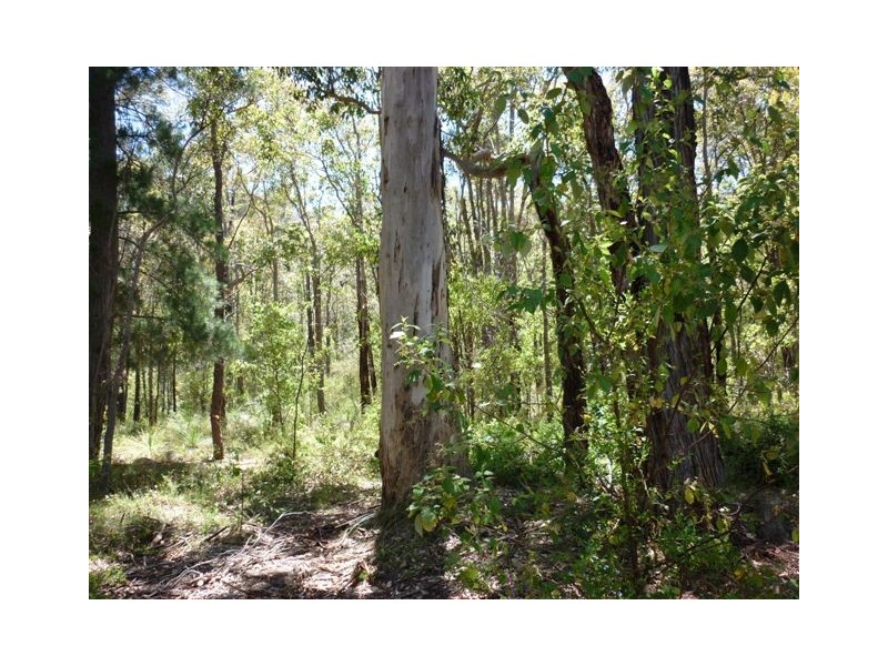 Lot 1 Millinup Pass Road, Porongurup WA 6324