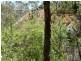 Lot 1 Millinup Pass Road, Porongurup WA 6324
