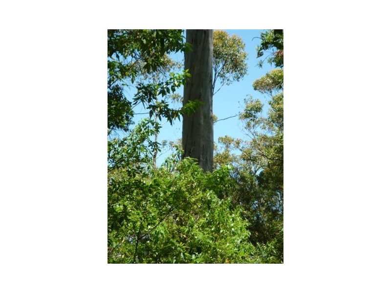 Lot 1 Millinup Pass Road, Porongurup WA 6324