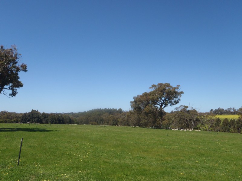 169 Wilson Road, Mount Barker WA 6324