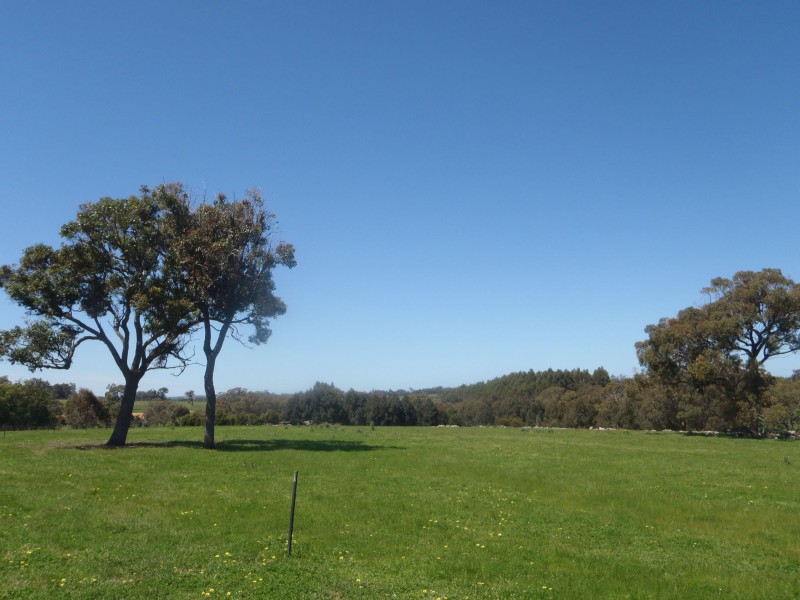 169 Wilson Road, Mount Barker WA 6324