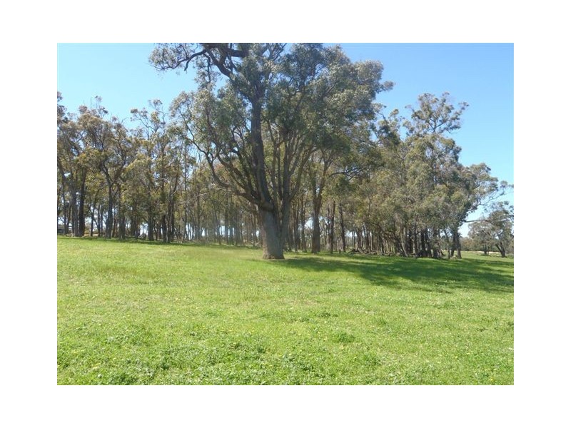 169 Wilson Road, Mount Barker WA 6324