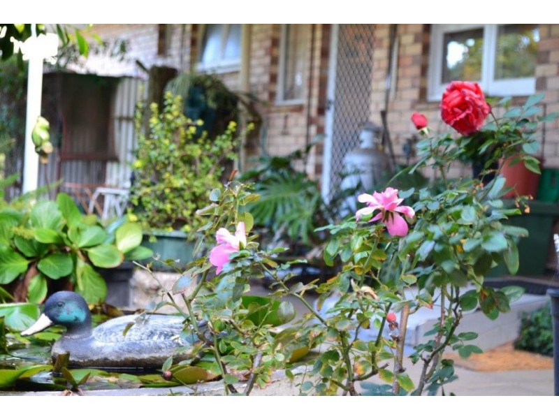 2 Grantham Street, Cranbrook WA 6321