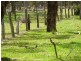 HayLoc2250 Quindabellup North, Rocky Gully WA 6397