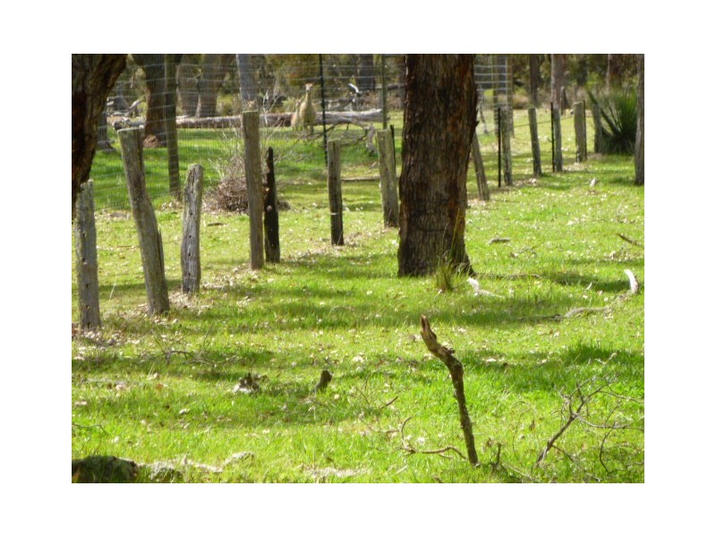 HayLoc2250 Quindabellup North, Rocky Gully WA 6397