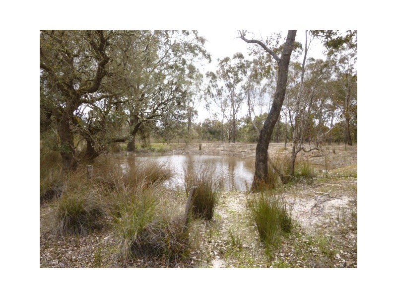 HayLoc2250 Quindabellup North, Rocky Gully WA 6397