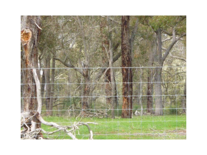 HayLoc2250 Quindabellup North, Rocky Gully WA 6397