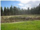 Lot 783 Pile Road, Mount Barker WA 6324