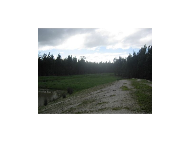 Lot 783 Pile Road, Mount Barker WA 6324