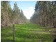 Lot 783 Pile Road, Mount Barker WA 6324