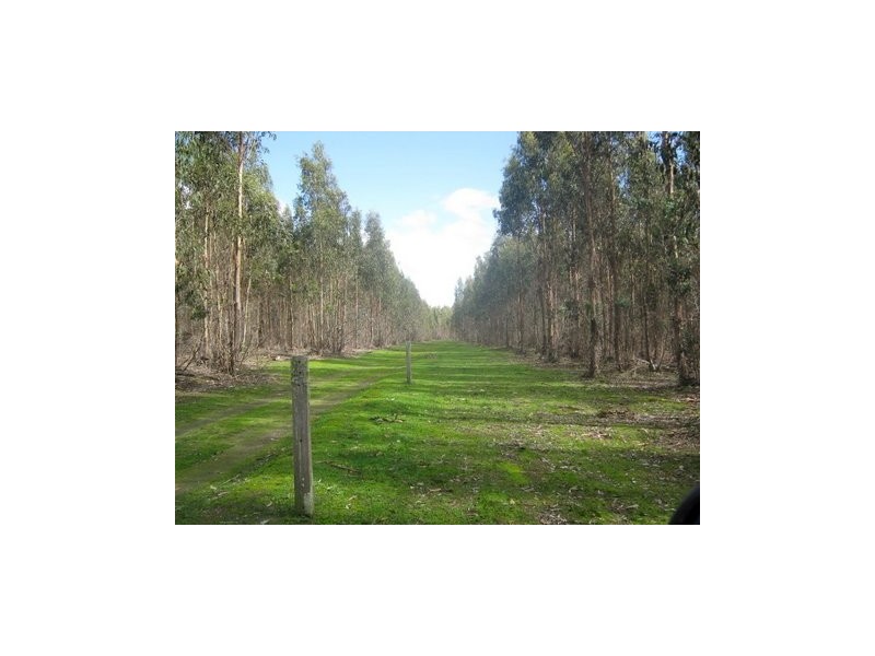 Lot 783 Pile Road, Mount Barker WA 6324