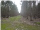 Lot 783 Pile Road, Denbarker WA 6324