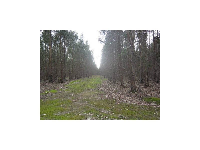 Lot 783 Pile Road, Denbarker WA 6324