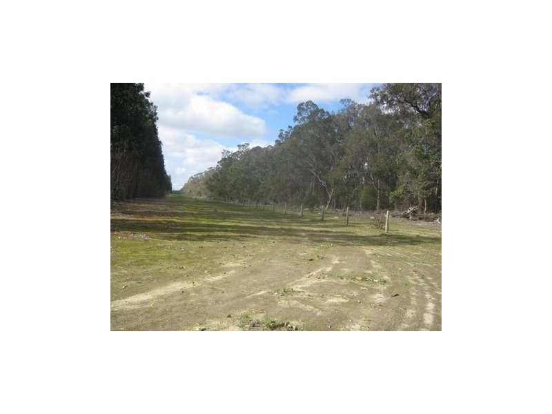 Lot 783 Pile Road, Denbarker WA 6324