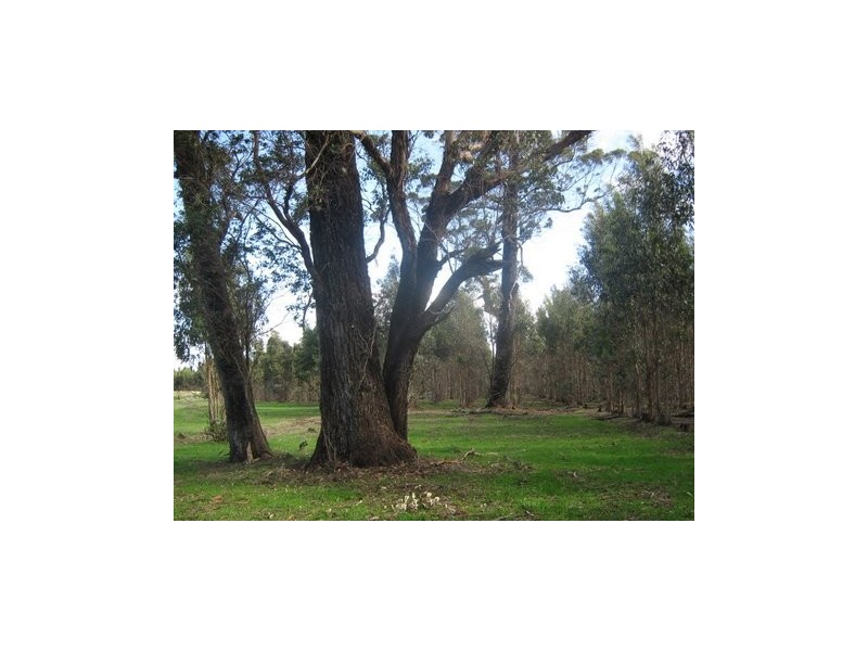 Lot 783 Pile Road, Denbarker WA 6324