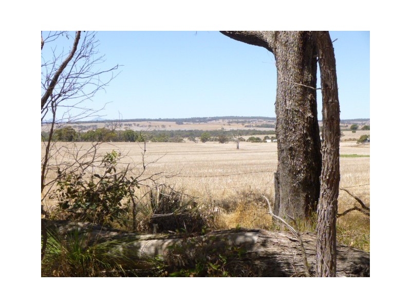 336 Crockerup Road, Mount Barker WA 6324