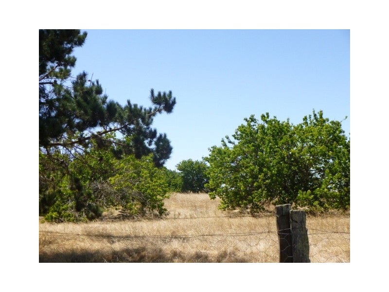 336 Crockerup Road, Mount Barker WA 6324