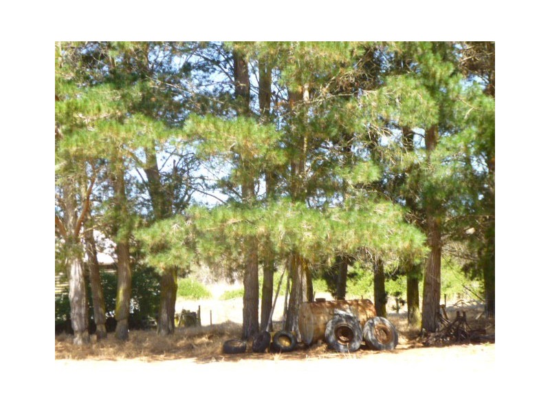 336 Crockerup Road, Mount Barker WA 6324