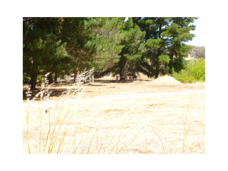 336 Crockerup Road, Mount Barker WA 6324