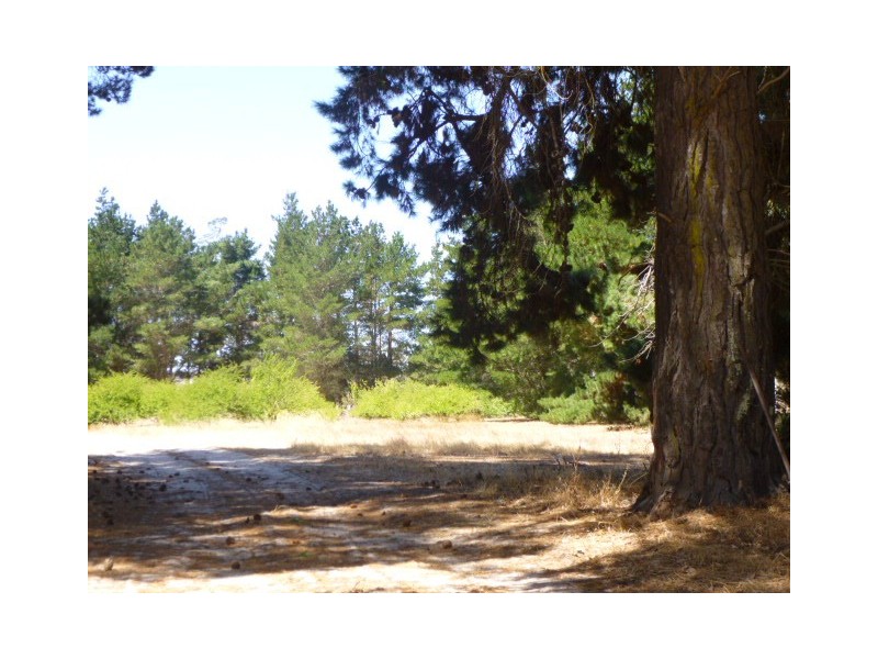 336 Crockerup Road, Mount Barker WA 6324