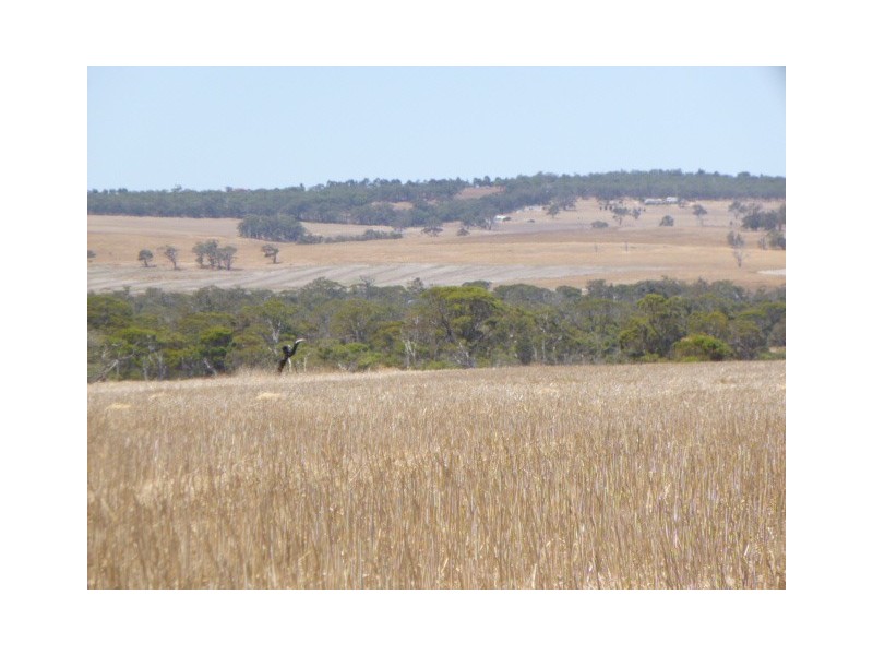 336 Crockerup Road, Mount Barker WA 6324