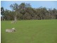 Lot 761 Jutland Road, Mount Barker WA 6324