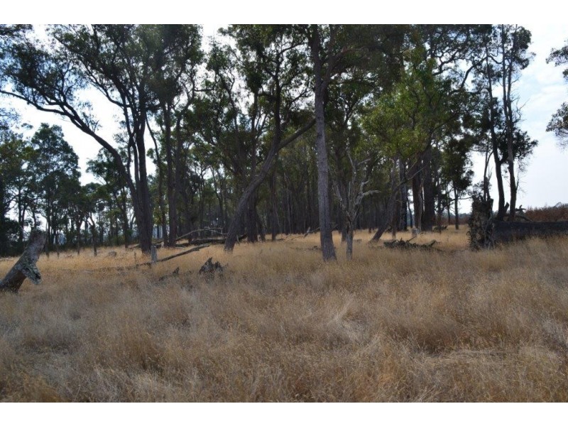 Loc 78and79 Pardelup Road, Forest Hill WA 6324