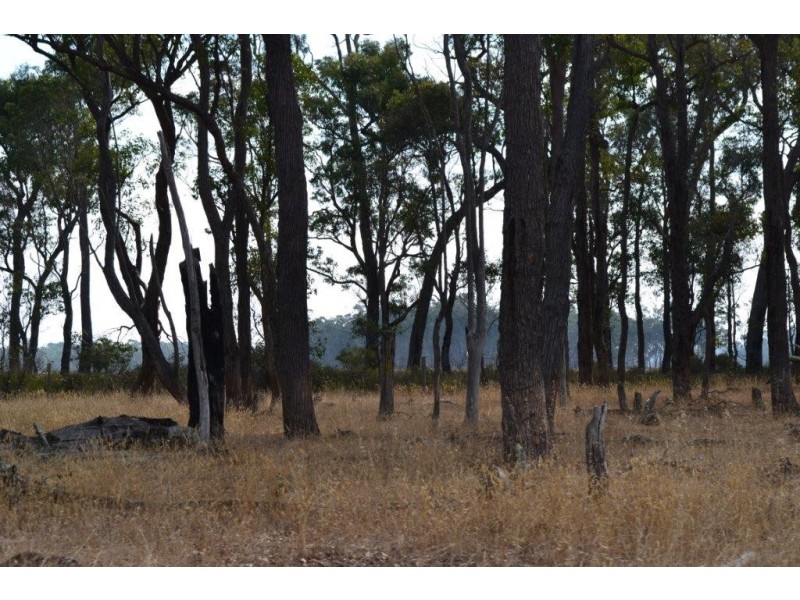 Loc 78and79 Pardelup Road, Forest Hill WA 6324