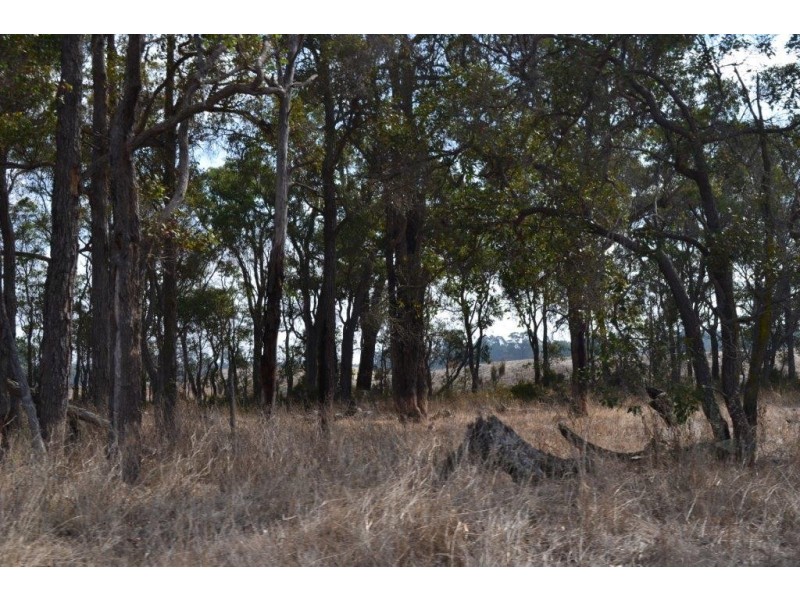 Loc 78and79 Pardelup Road, Forest Hill WA 6324