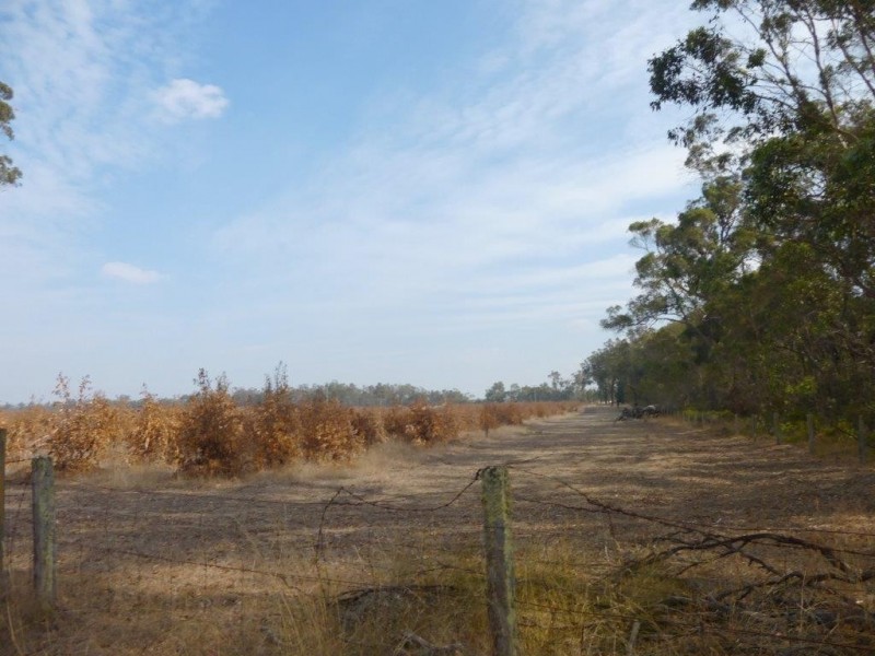 Loc 78and79 Pardelup Road, Forest Hill WA 6324