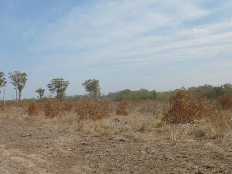 Loc 78and79 Pardelup Road, Forest Hill WA 6324