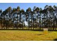 Lot 220, 116 Second Avenue, Kendenup WA 6323