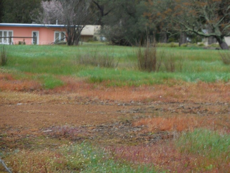 Lot 1 Albany Highway, Mount Barker WA 6324