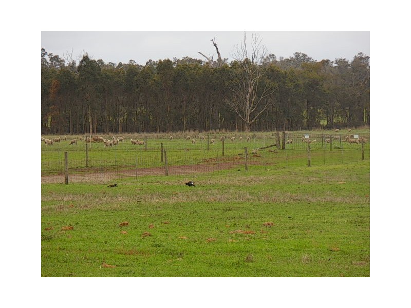 Lot 2809 Eulup-Manurup Road, Mount Barker WA 6324