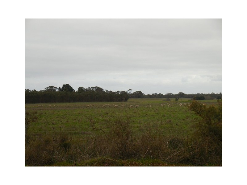 Lot 2809 Eulup-Manurup Road, Mount Barker WA 6324