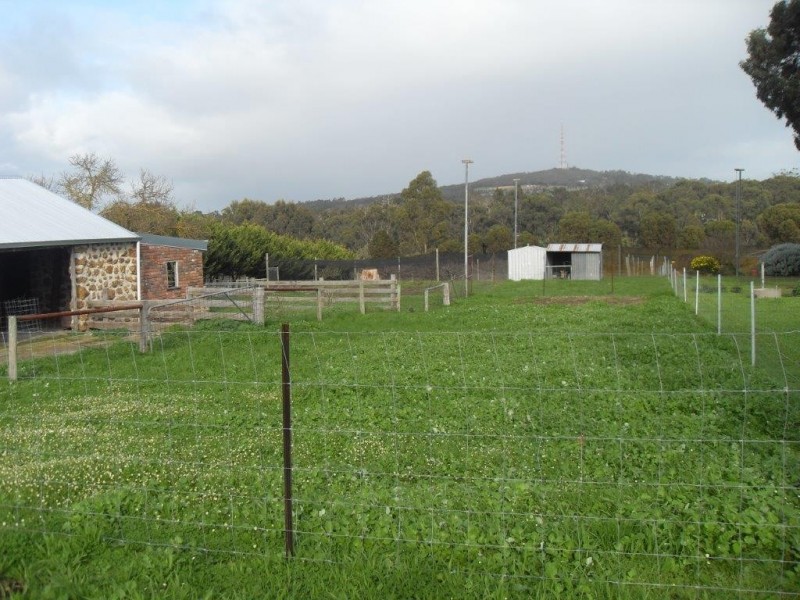 Lot 7 Hassell Street, Mount Barker WA 6324