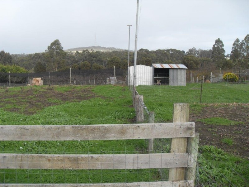 Lot 7 Hassell Street, Mount Barker WA 6324