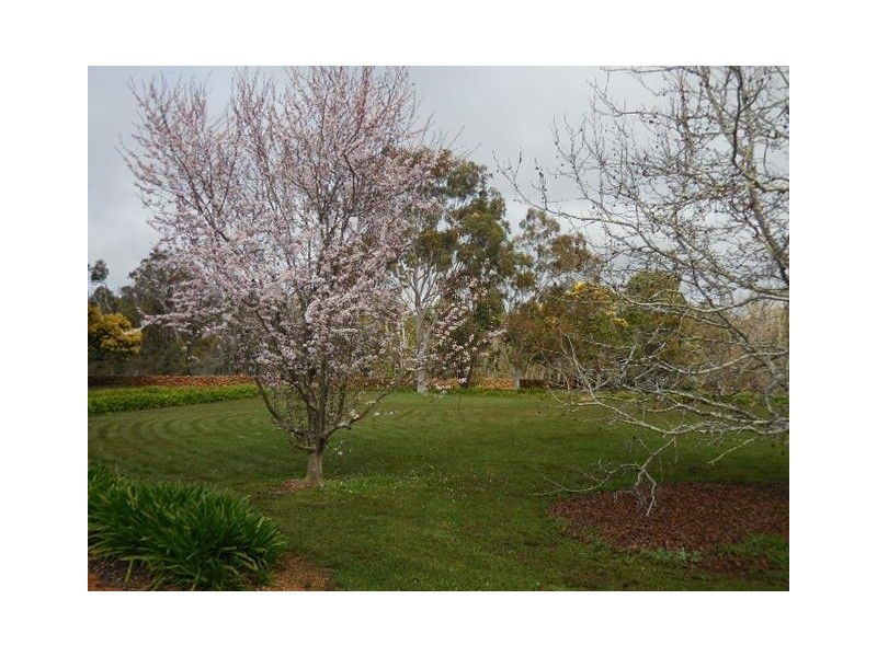 Hay Loc 2135 Cook Road, Frankland WA 6396