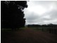 Hay Loc 2135 Cook Road, Frankland WA 6396