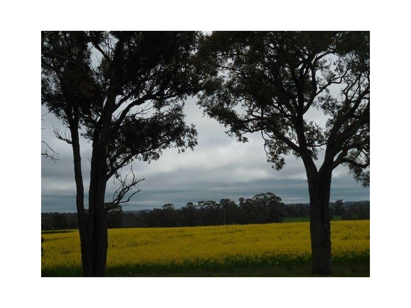 Hay Loc 2135 Cook Road, Frankland WA 6396