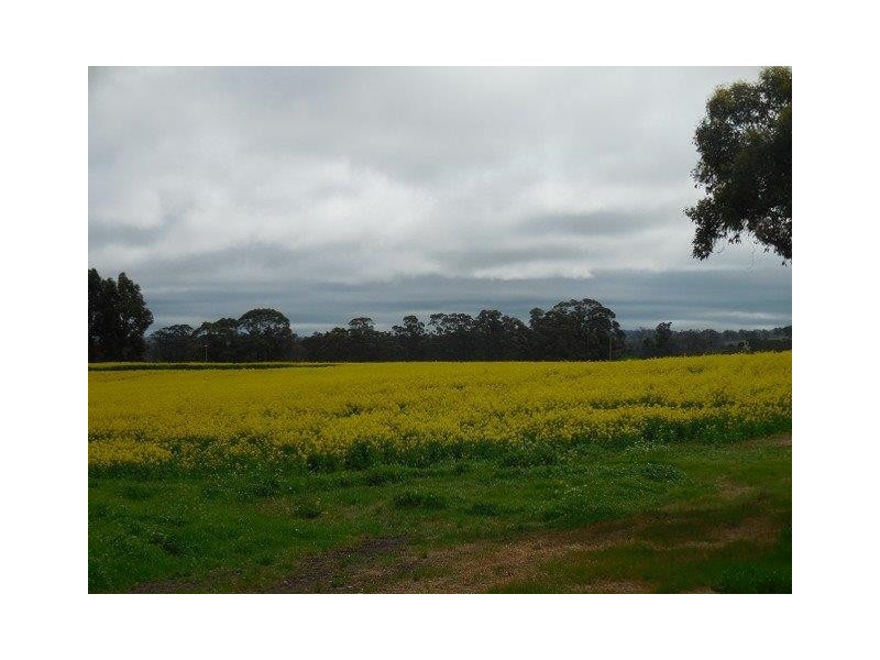 Hay Loc 2135 Cook Road, Frankland WA 6396