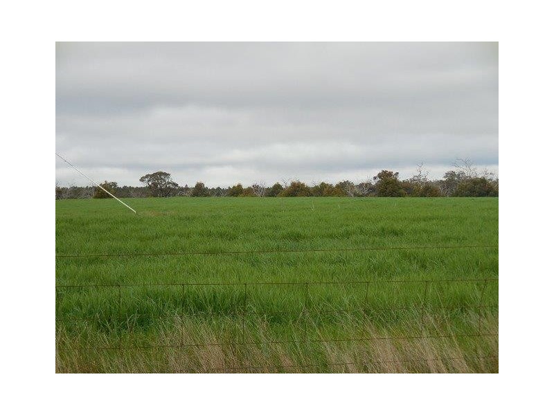 Hay Loc 2135 Cook Road, Frankland WA 6396