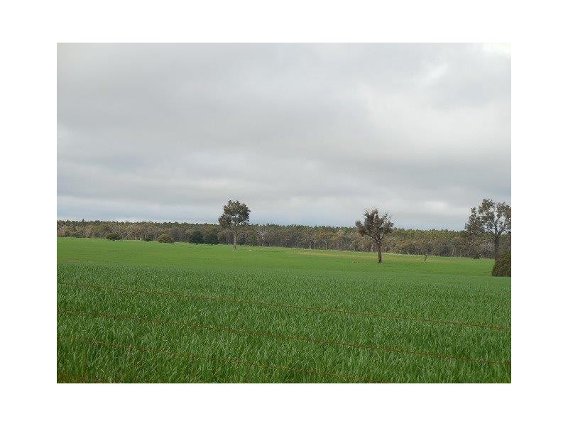 Hay Loc 2135 Cook Road, Frankland WA 6396