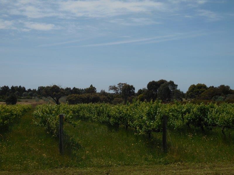 109 McCook Road, Mount Barker WA 6324