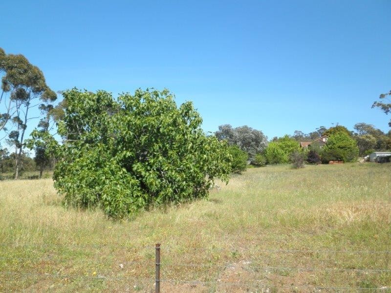 Lot 177 Marmion Street, Mount Barker WA 6324