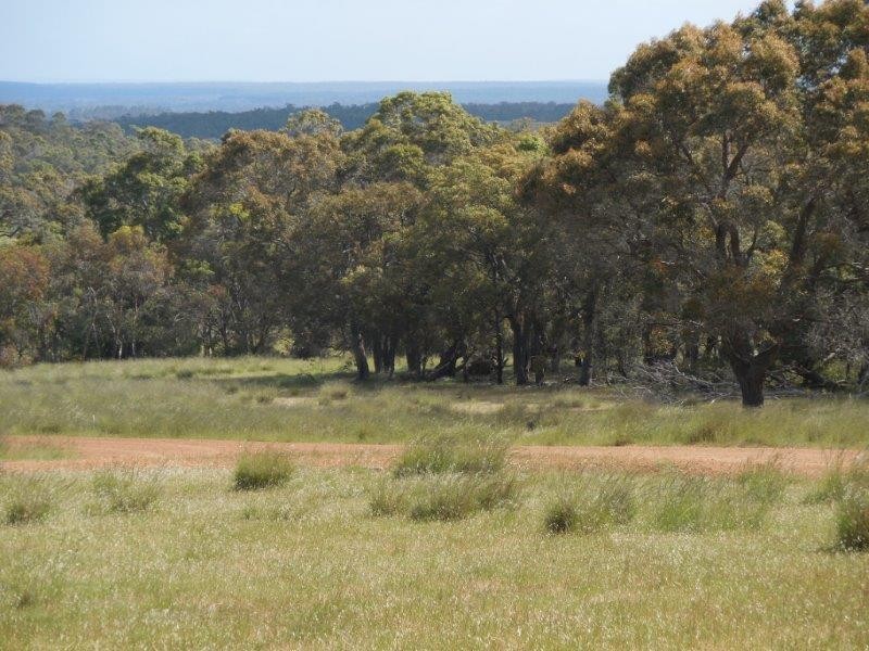 Lot 10, 215 Porongurup Road, Mount Barker WA 6324