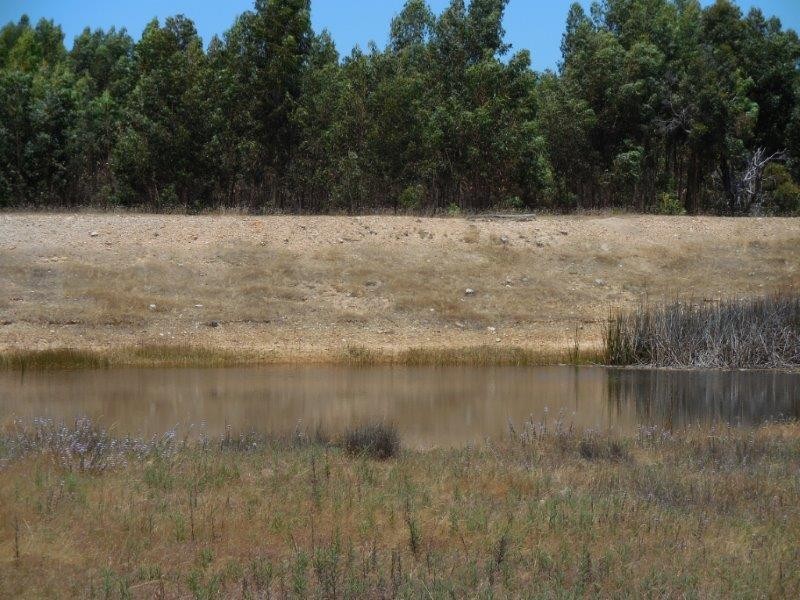 12564 Yarnup Road, Rocky Gully WA 6397