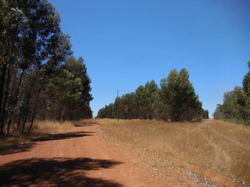 12564 Yarnup Road, Rocky Gully WA 6397